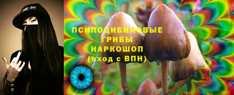 хочу   сайты даркнета формула  MEGA ссылки  Галлюциногенные грибы Cubensis  Зуевка 